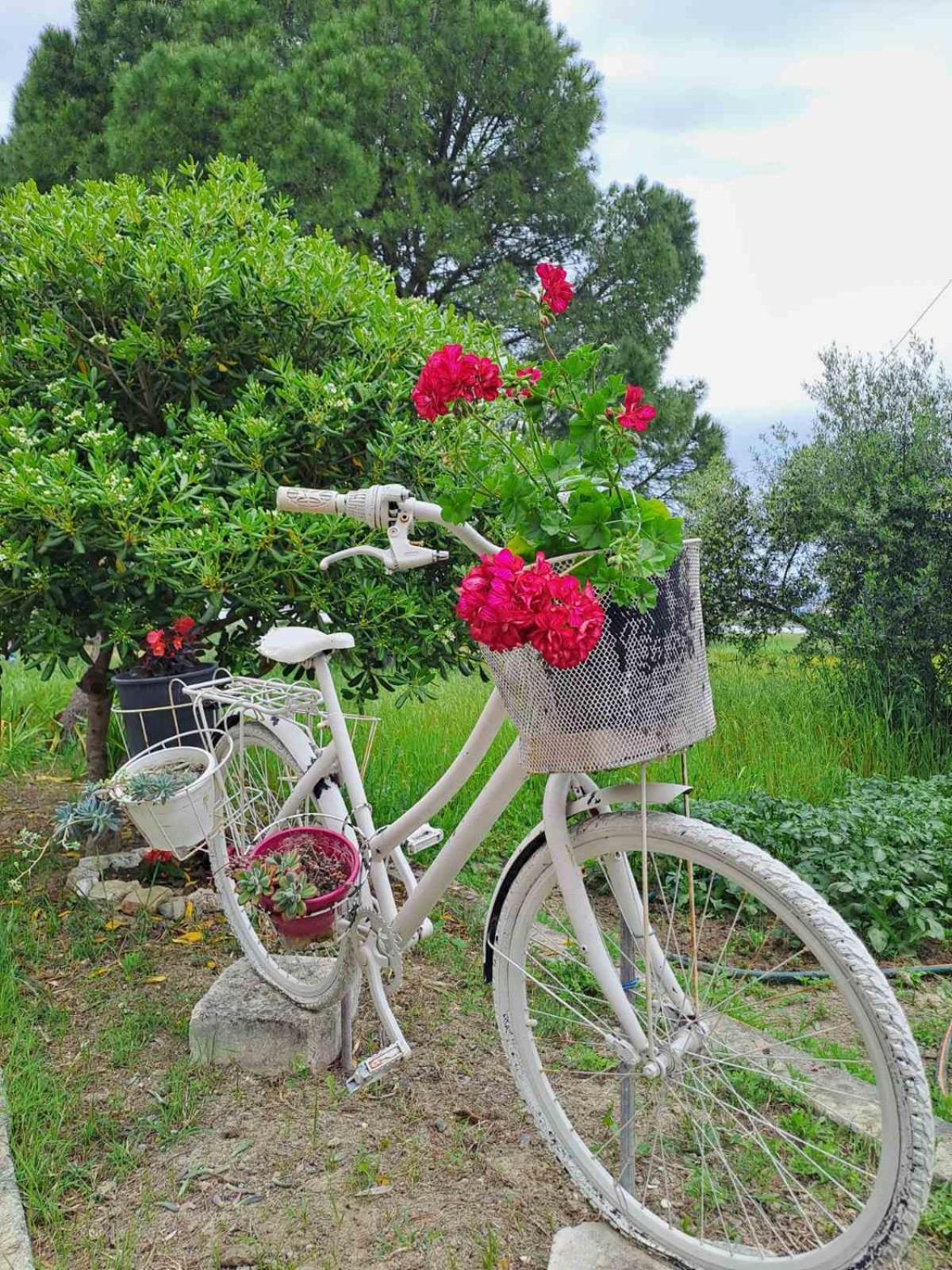 Corfu Lake House Kanoni  Esterno foto